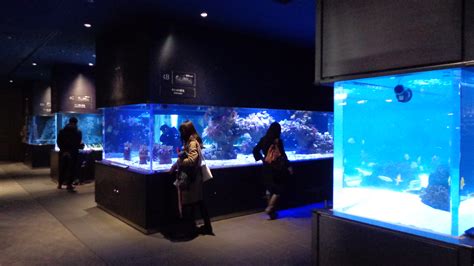 Sumida Aquarium, with Tokyo Skytree