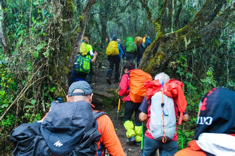 Kilimanjaro 7 Days Rongai Route - Nature Horizons