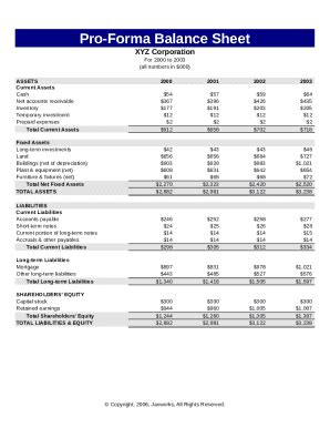 Pro-Forma Balance Sheet - Fill and Sign Printable Template Online