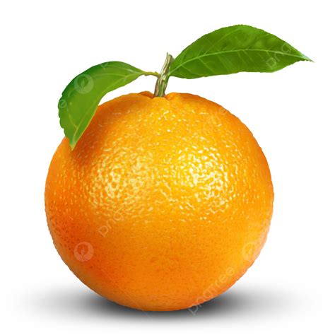 Orange Fruit PNG, Vector, PSD, and Clipart With Transparent Background ...