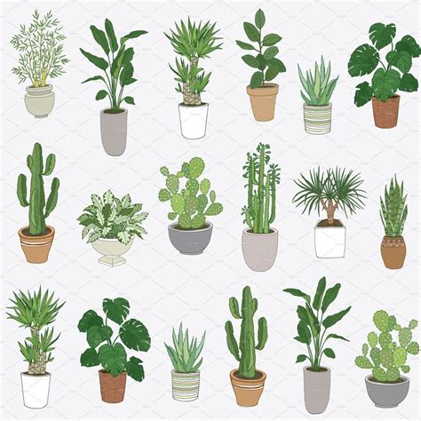Indoor Plants | Plant drawing, Plant art, Plant painting