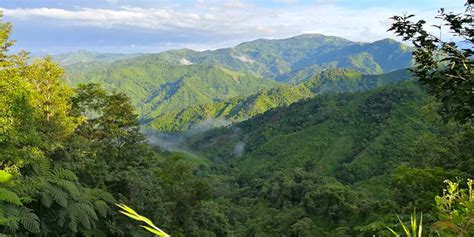 Panama Rainforest Experience (Post) | Hurtigruten Norwegian Coastal Express