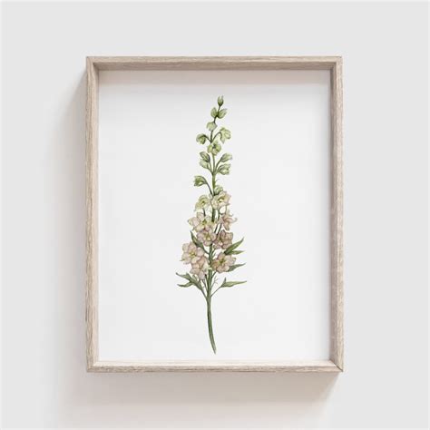 Larkspur Flower Art Print Flowers Florals Mother's - Etsy