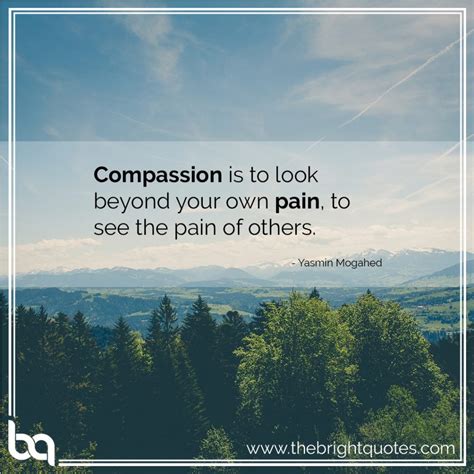 30 Best Heart Warming Compassion Quotes and Images - The Bright Quotes