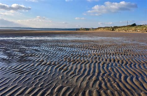 Public advised against swimming at three Wexford beaches due to presence of E. Coli