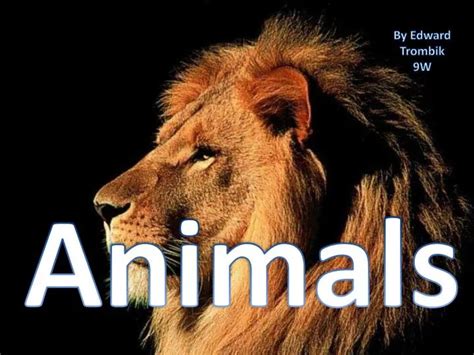 PPT - Animals PowerPoint Presentation, free download - ID:3649265