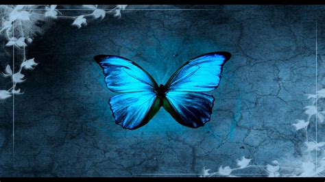 Blue Butterfly Wallpaper (75+ pictures)