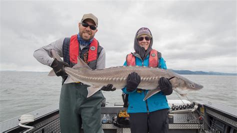 Astoria Summer Fishing - Lance Fisher Fishing