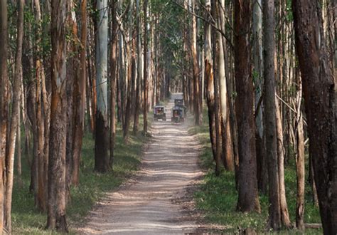 How to reach Wayanad from Mysore?and How is the weather in August ...