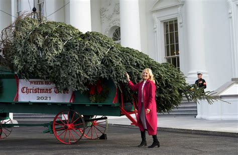 WATCH: First lady receives the official White House Christmas tree | PBS News