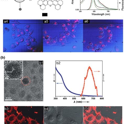 A list of common bioimaging techniques | Download Table