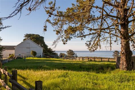 Ano Nuevo State Park In Pescadero, CA | America's State Parks