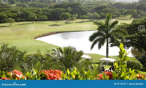 Golf Course in Paradise stock image. Image of luxury, bunker - 5719727