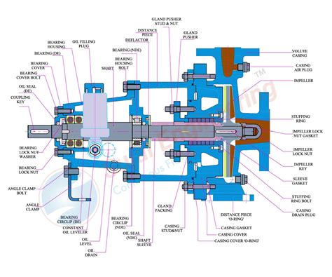 Centrifugal Pumps: Components, Working, Types & Applications - A Detailed Guide