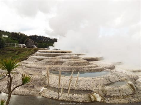 Wairakei Terraces Walkway | thecuriouskiwi NZ travel blog