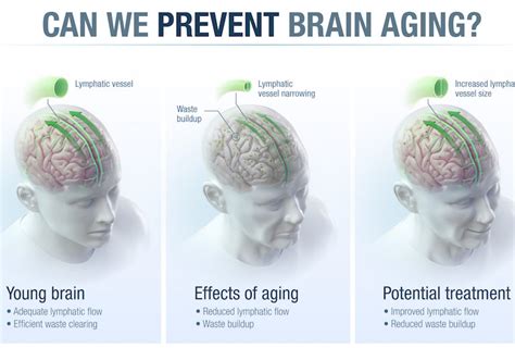 Brain Discovery Could Block Aging's Terrible Toll on the Mind