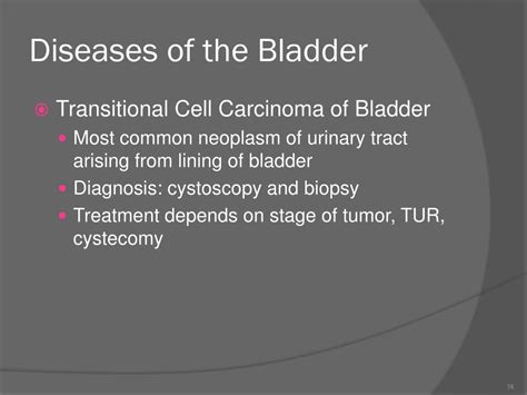 PPT - Chapter 13 Urinary System Diseases and Disorders PowerPoint ...