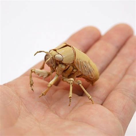 Delicately Crafted Life-Size Insect Sculptures Made Completely Out of Bamboo | Insect art, Bug ...