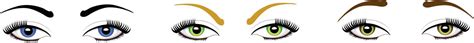 Women eyes expressions set, vector 8377462 Vector Art at Vecteezy