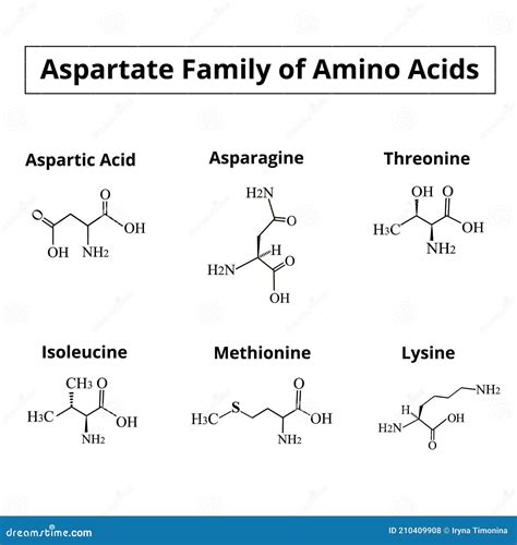 A Family Of Amino Acids Aspartate. Chemical Molecular Formulas Of Amino Acids Aspartate ...