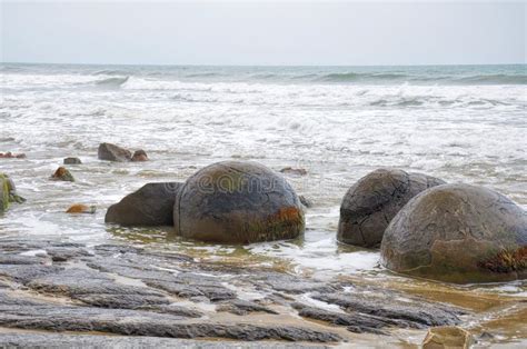 Moeraki Boulders in Koekohe Beach, Otago Coast of New Zealand Stock Photo - Image of famous ...