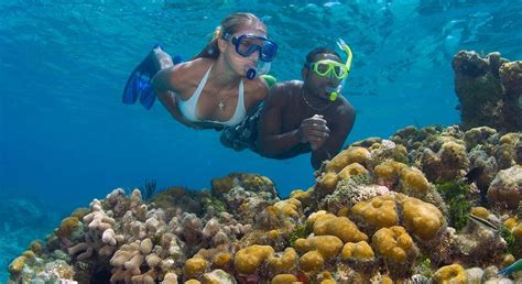 Grand Cayman Snorkeling Tours I Cayman Visitor - Cayman Visitor - Medium