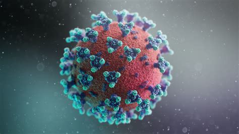 Corona virus covid-19 3D model | CGTrader