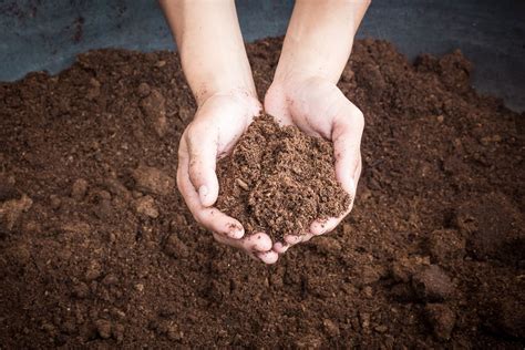 What Are The Components Of Healthy Soil?