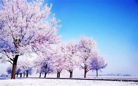 Winter To Spring Wallpapers - Wallpaper Cave