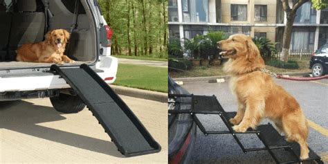 18 Most Essential Dog Car Travel Accessories You Must Have