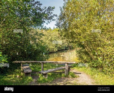 Pond in Meeth Quarry Nature Reserve, Devon, UK Stock Photo - Alamy