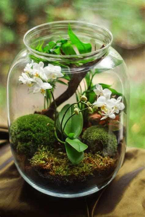 38 Fantastic Moss Terrarium Ideas You Can Have At Home