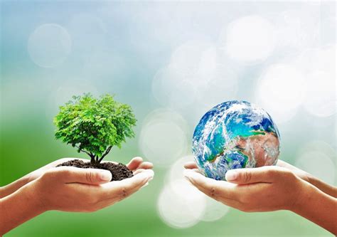 Environmental Sustainability