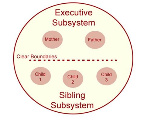 Structural Family Therapy (Class 3) Flashcards | Quizlet