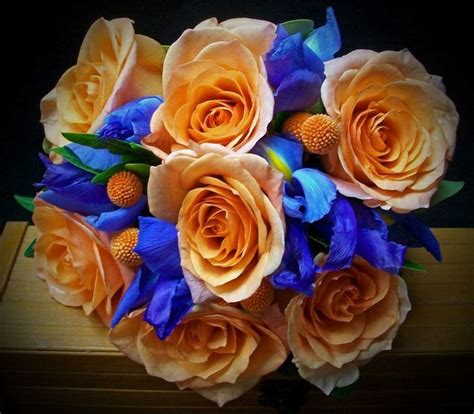 23 best Ivory, Blue, Orange Wedding images on Pinterest | Blue orange weddings, Ivory and Hydrangea