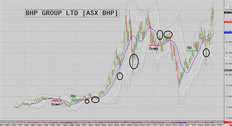 Finding Opportunities in Market Trends