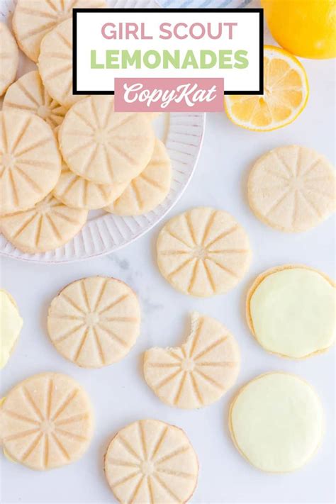 Girl Scout Lemonades - CopyKat Recipes