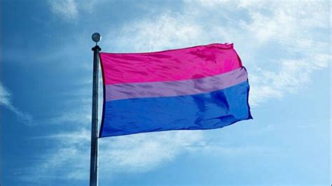 Mes del Orgullo: ¿Qué significan los colores de la bandera Bisexual?