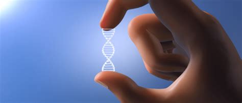 Peek Behind the Paper: Differential Transgene Expression - BioTechniques