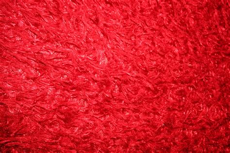 Red Fur Free Stock Photo - Public Domain Pictures