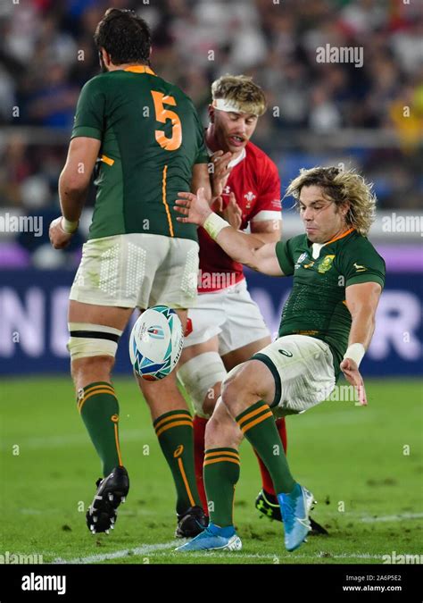 South Africa's Faf de Klerk box kicks during the 2019 Rugby World Cup ...