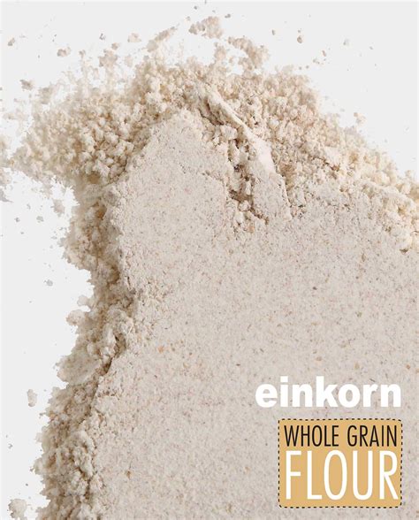 Einkorn Whole Grain Flour – Breadtopia