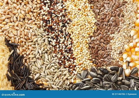 Assorted Grains And Seeds Background Royalty Free Stock Image - Image: 21146706