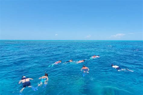 Looe Key reef snorkeling from Bahia Honda State Park 🐠 It was the best ...