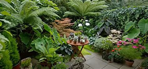 Small Tropical Garden Ideas - GardenProfy