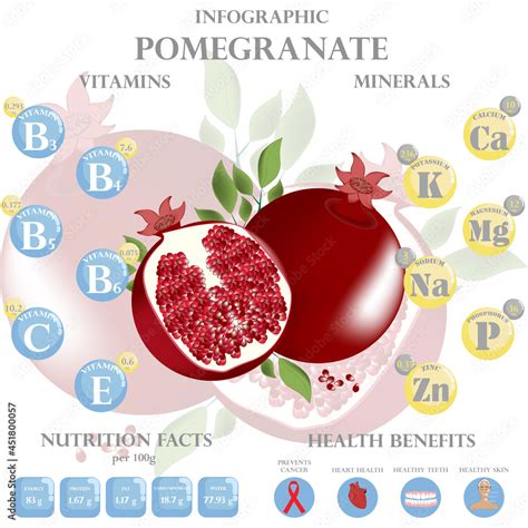 Health benefits and nutrition facts of pomegranate infographic vector ...