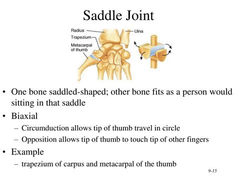 PPT - Chapter 9 Joints PowerPoint Presentation, free download - ID:3130113