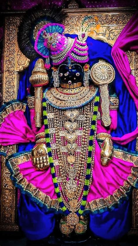 Dwarkadhish, Lord Krishna In Green Dress, god, temple, HD phone wallpaper | Peakpx