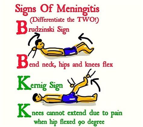 uni-med: “Signs of meningitis. ” Nursing Student Tips, Nursing School ...