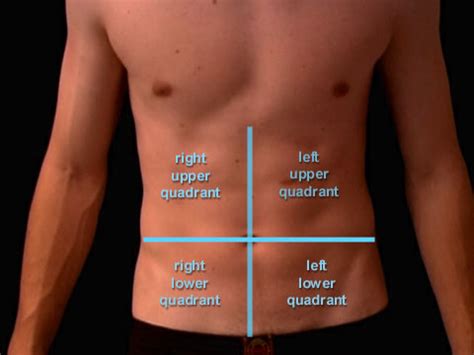 Module - Abdominal Viscera Basics